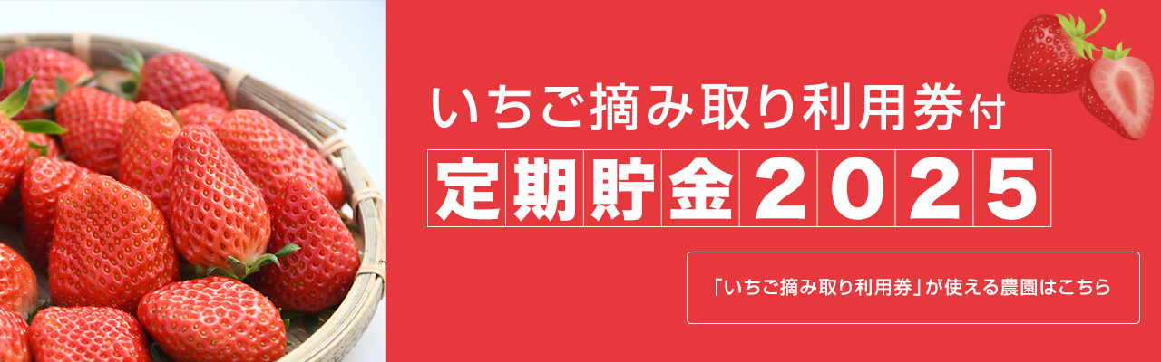 いちご摘み取り利用権付定期貯金2025